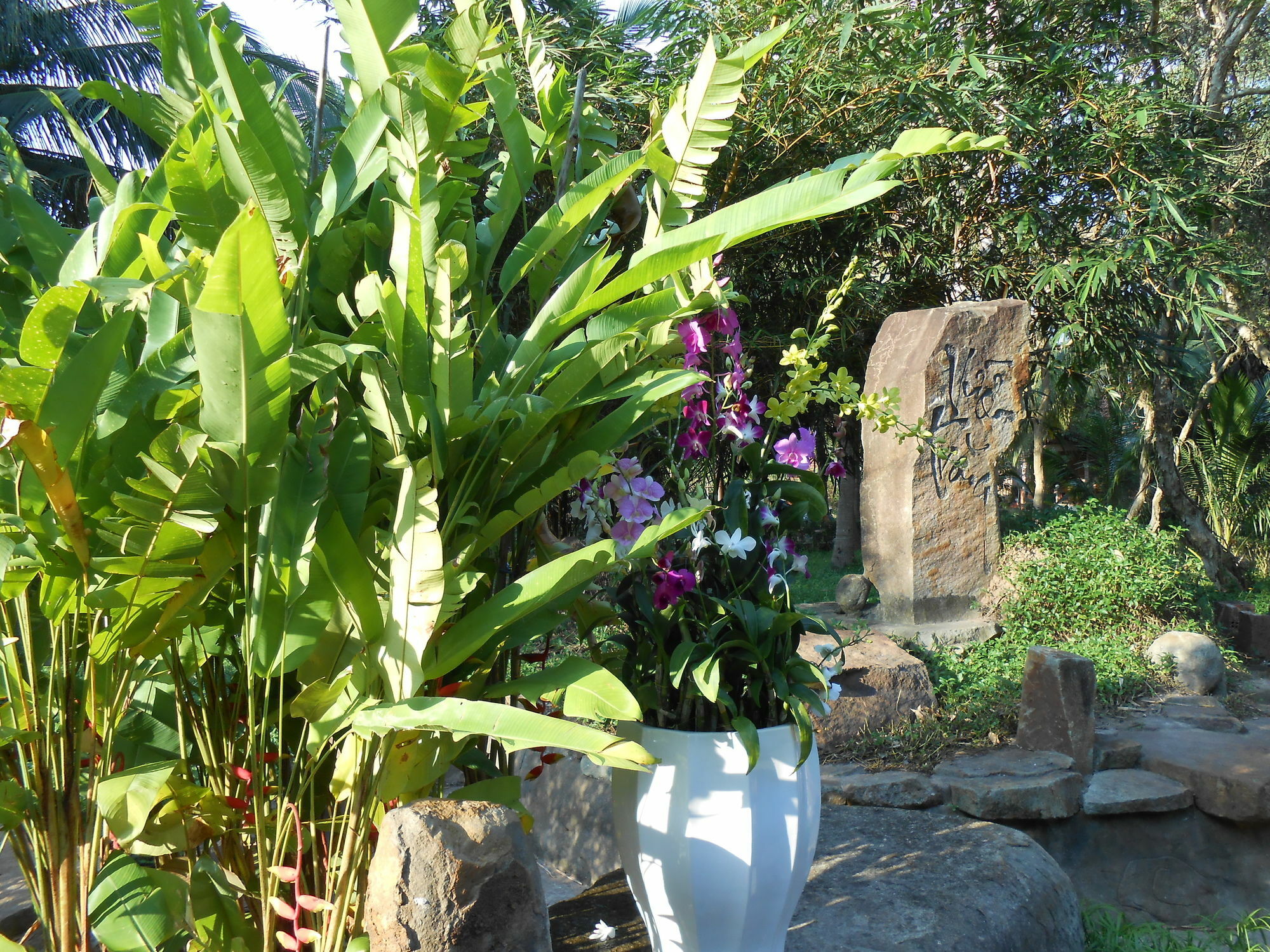Minera Hot Springs Binh Chau Hotel Екстериор снимка